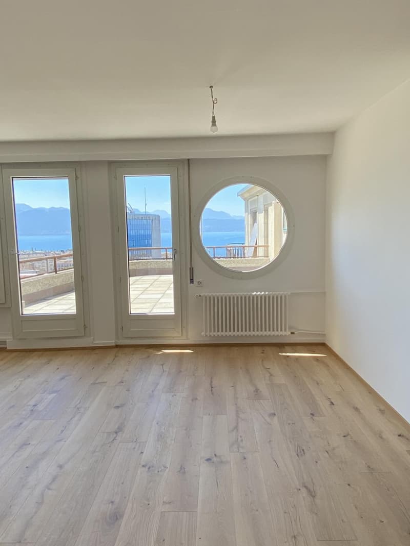 Meraviglioso appartamento di 4 locali completamente ristrutturato con bella terrazza (7)