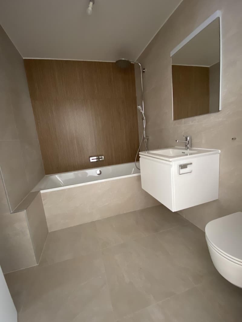 Meraviglioso appartamento di 4 locali completamente ristrutturato con bella terrazza (12)