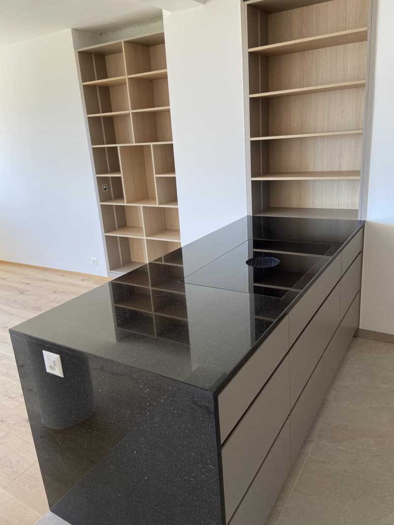 Meraviglioso appartamento di 4 locali completamente ristrutturato con bella terrazza (4)