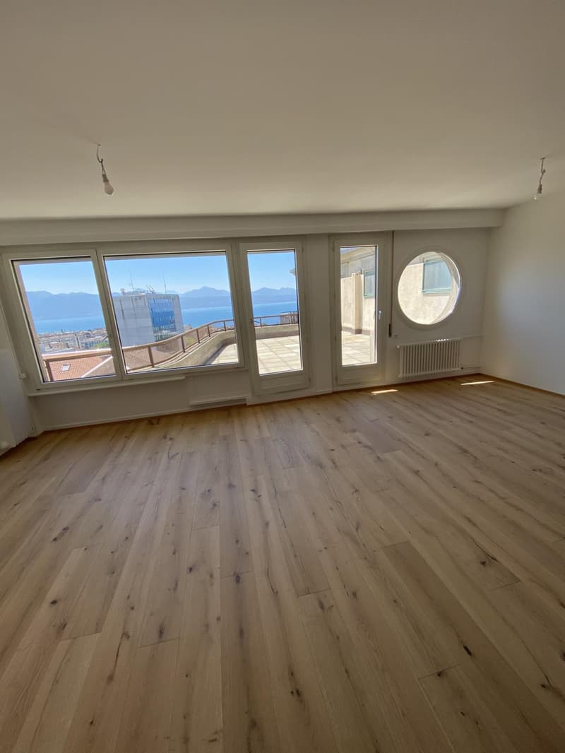 Meraviglioso appartamento di 4 locali completamente ristrutturato con bella terrazza (6)