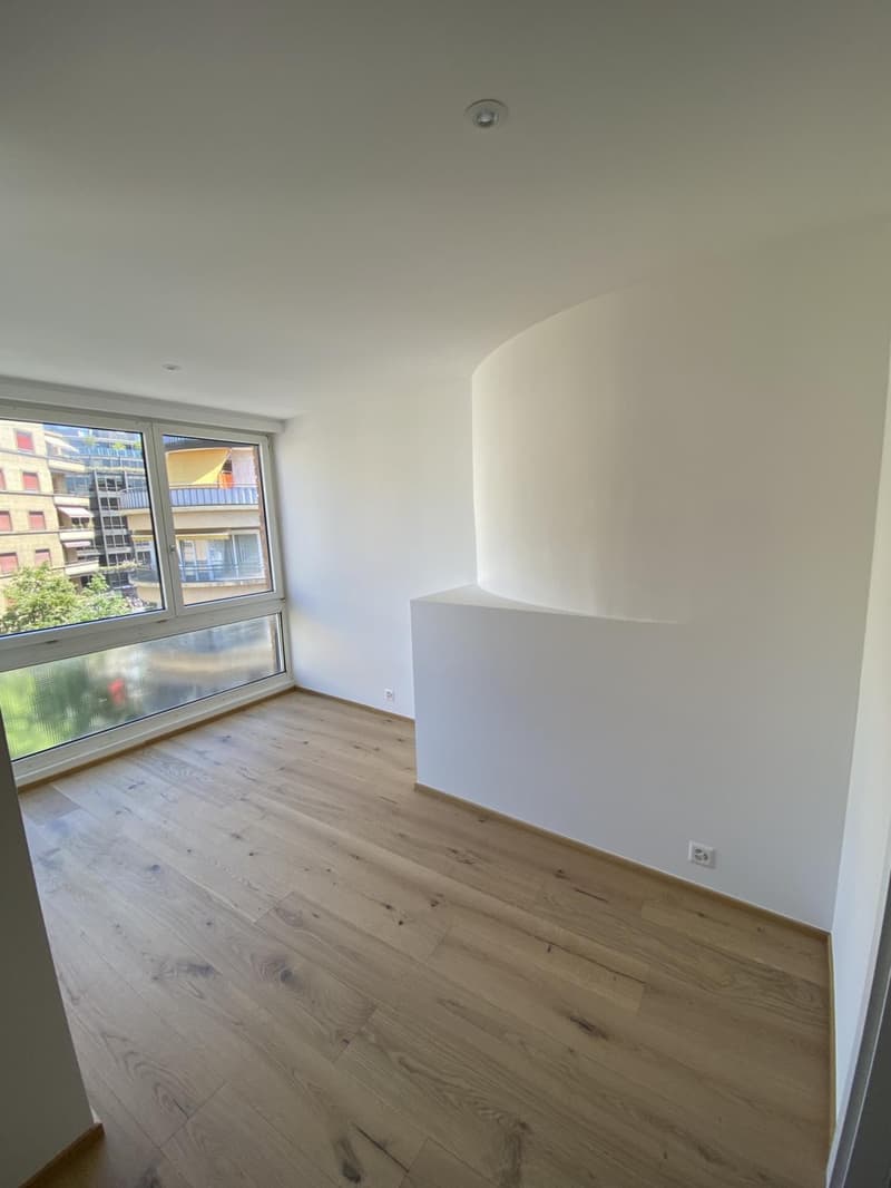 Meraviglioso appartamento di 4 locali completamente ristrutturato con bella terrazza (9)