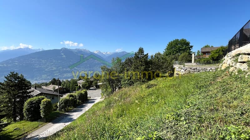 Vue de la parcelle d'est en ouest