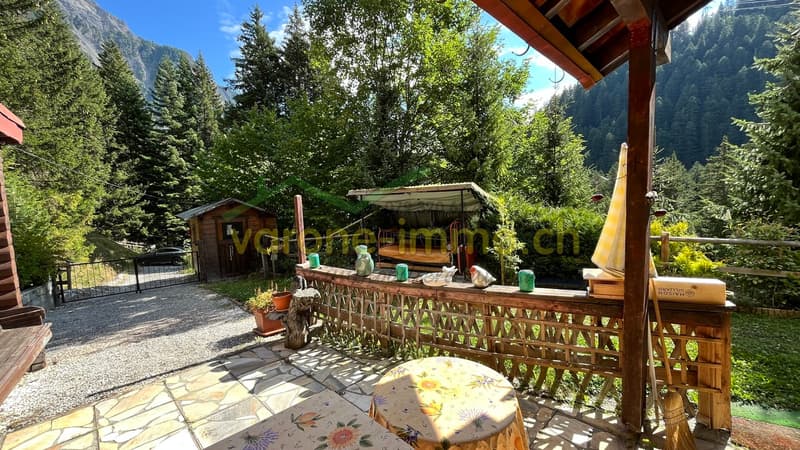 Terrasse couverte et extérieurs