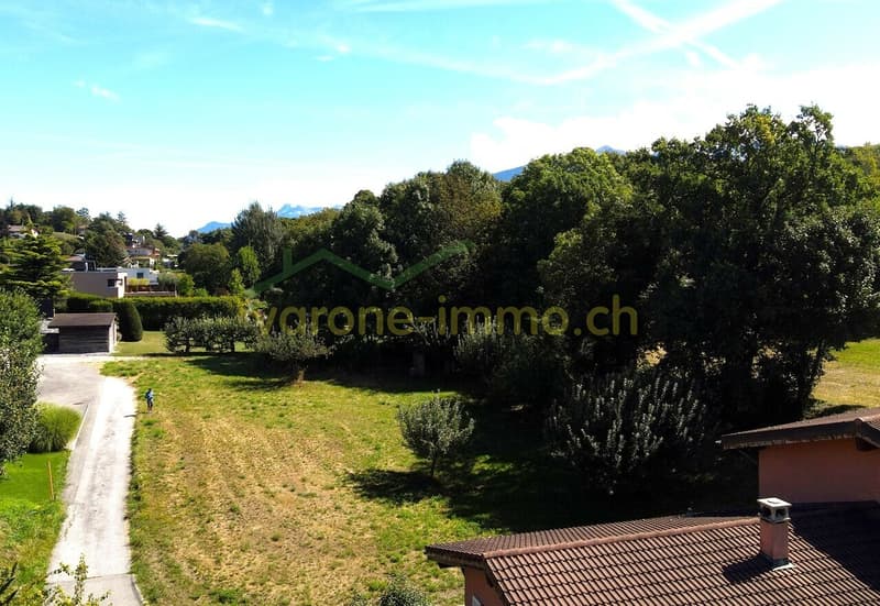 Photo de la parcelle