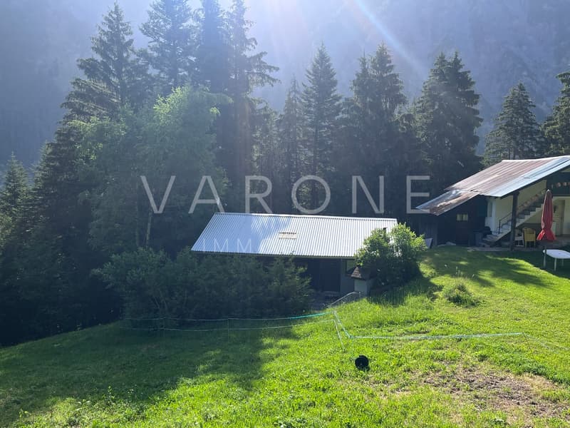 Vue du chalet