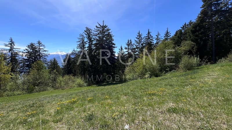 Panorama Ouest