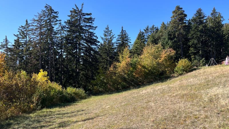 Vue à l'ouest