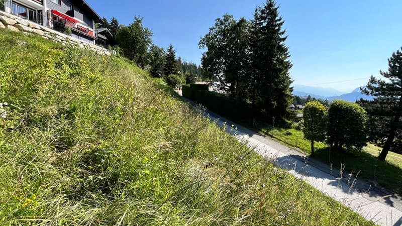 Vue de la parcelle
