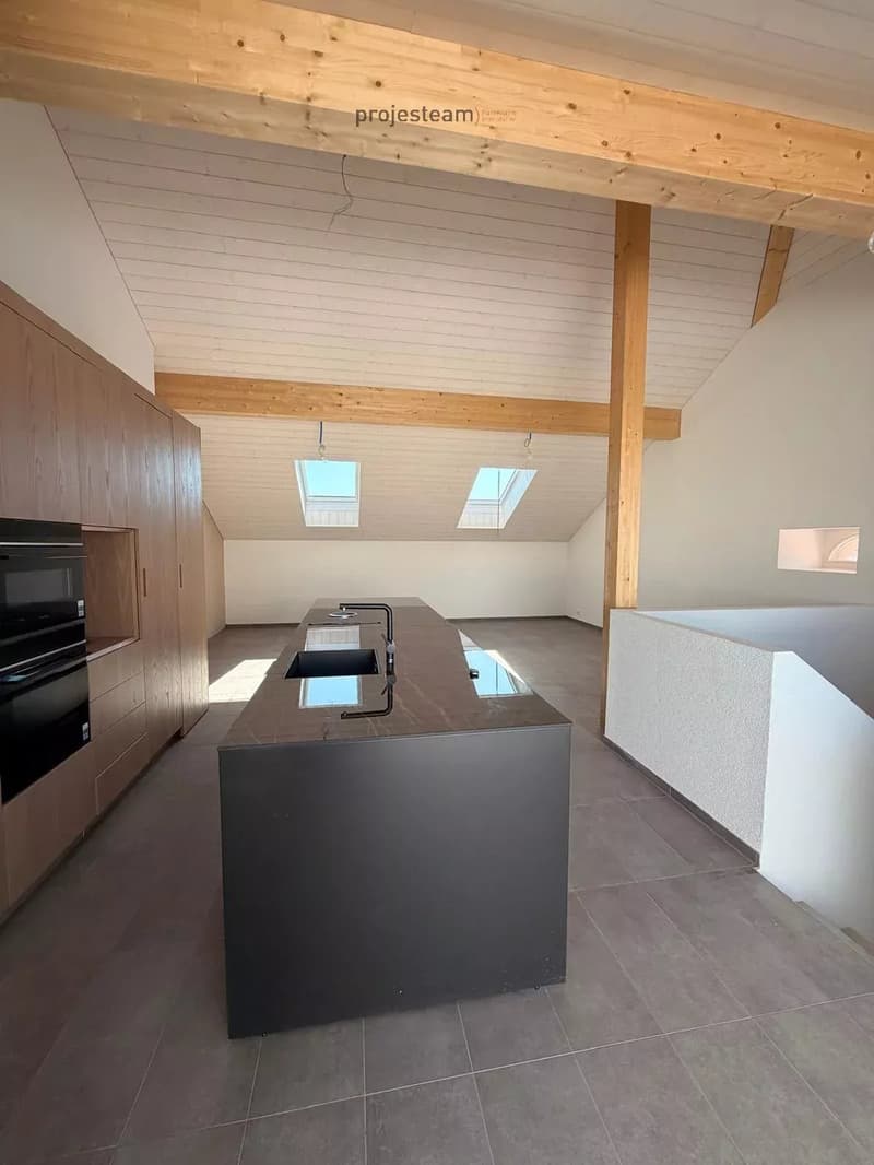 Appartamento nuovo - Duplex mansardato con fascino e charme accentuati da doppie altezze del soffitto (3)