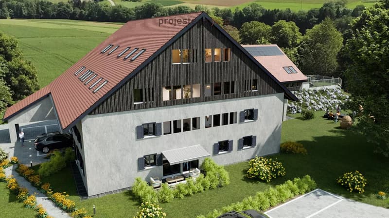 NEW PROMOTION new apartment on the ground floor in authentic farm (3)