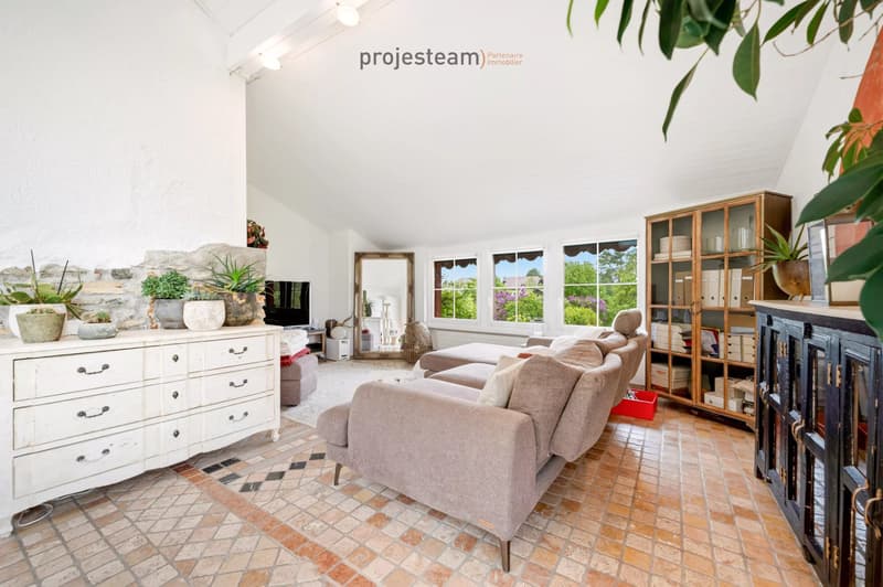 2 apartments 84m2 and 181m2, combined into a triplex in a renovated farm (12)