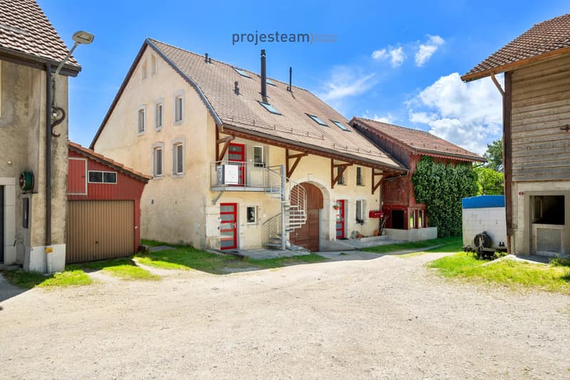 2 apartments 84m2 and 181m2, combined into a triplex in a renovated farm (5)