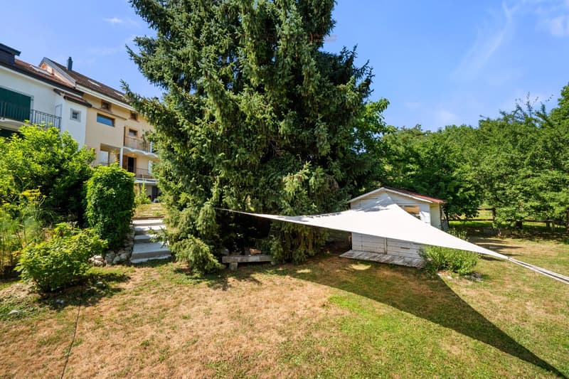 Maison de village de caractère de 4 étages ? 320 m² habitables sur 1'815 m² de terrain (4)