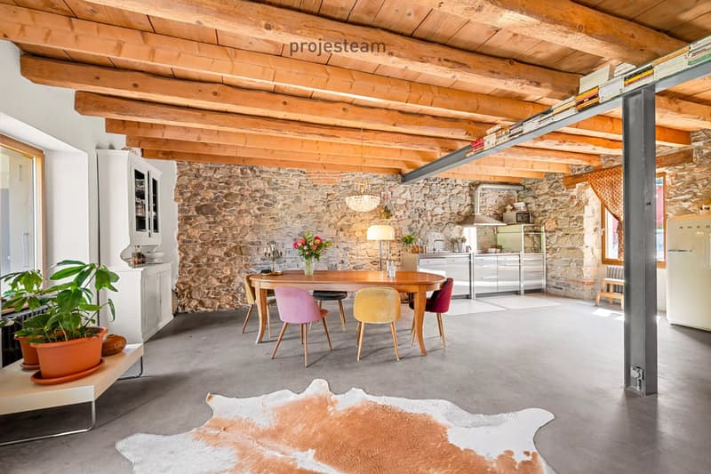 Maison de village de caractère de 4 étages ? 320 m² habitables sur 1'815 m² de terrain (8)