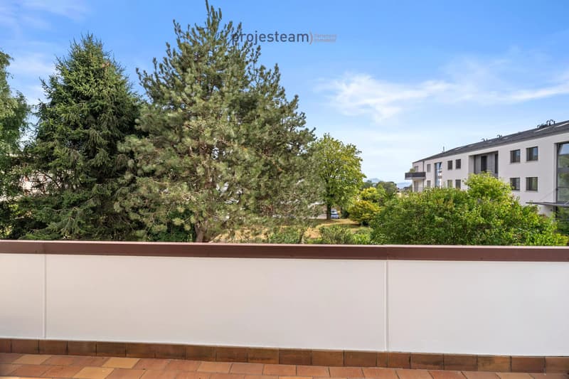 Appartamento con camino, ristrutturato con cura, ampio balcone a sud, in un ambiente verde e familiare (8)