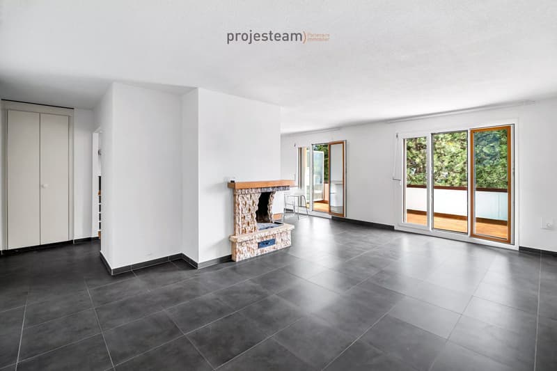 Appartement avec cheminée, rénové avec soin, grand balcon plein sud, dans un cadre verdoyant et familial (2)