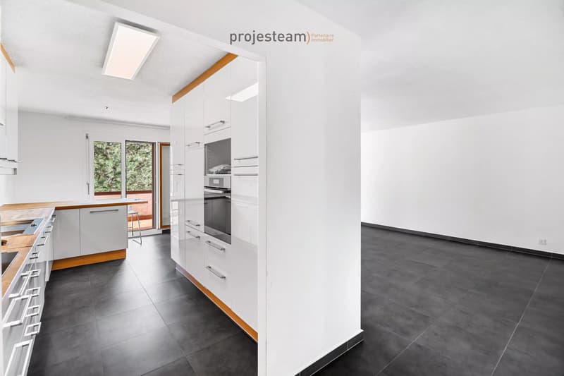 Appartement avec cheminée, rénové avec soin, grand balcon plein sud, dans un cadre verdoyant et familial (7)
