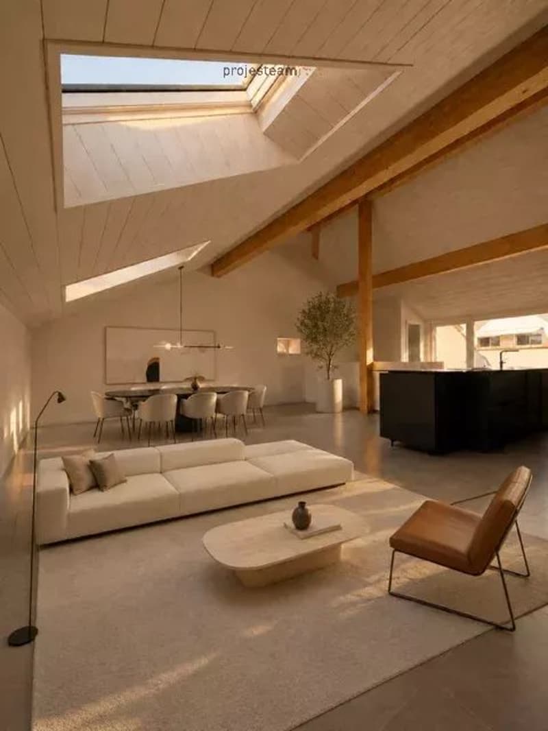 Appartement neuf - Duplex combles au cachet et charme accentué par des doubles hauteurs de plafond (1)