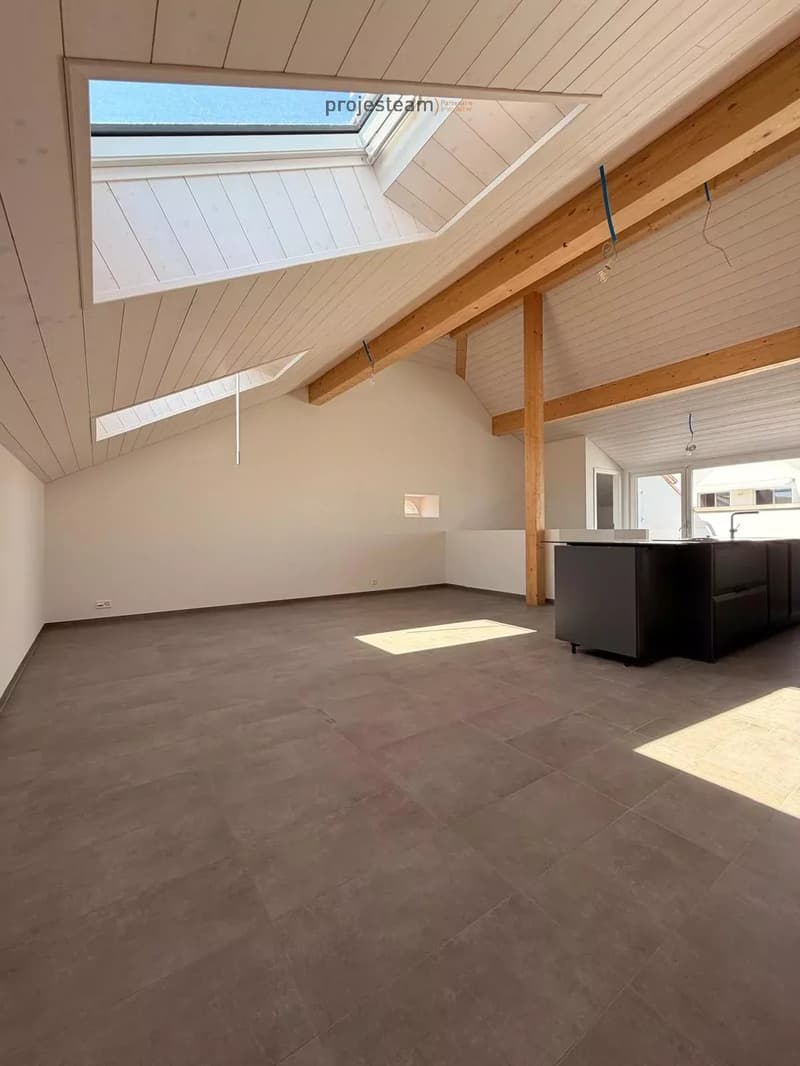 Appartement neuf - Duplex combles au cachet et charme accentué par des doubles hauteurs de plafond (2)