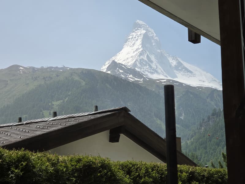 Ausblick