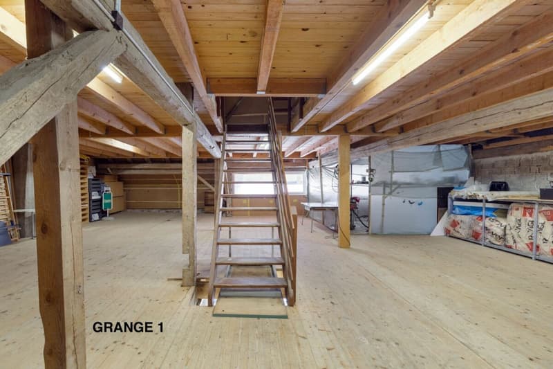 820 m² farm building with 3 apartments and 2 partially renovated barns, 8 km from Avenches and 25 km from Neuchâtel and Fribourg. (43)