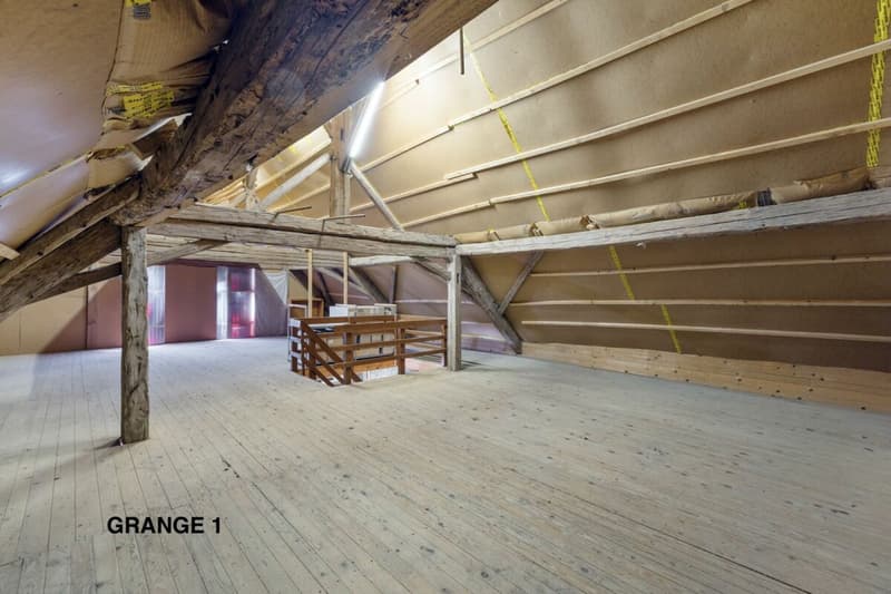 820 m² farm building with 3 apartments and 2 partially renovated barns, 8 km from Avenches and 25 km from Neuchâtel and Fribourg. (41)