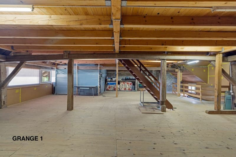 820 m² farm building with 3 apartments and 2 partially renovated barns, 8 km from Avenches and 25 km from Neuchâtel and Fribourg. (44)