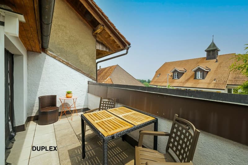 820 m² farm building with 3 apartments and 2 partially renovated barns, 8 km from Avenches and 25 km from Neuchâtel and Fribourg. (29)