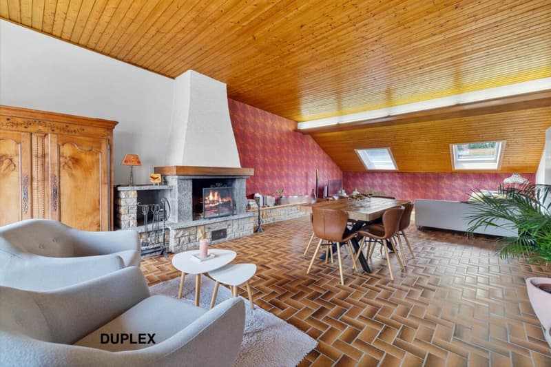 820 m² farm building with 3 apartments and 2 partially renovated barns, 8 km from Avenches and 25 km from Neuchâtel and Fribourg. (23)
