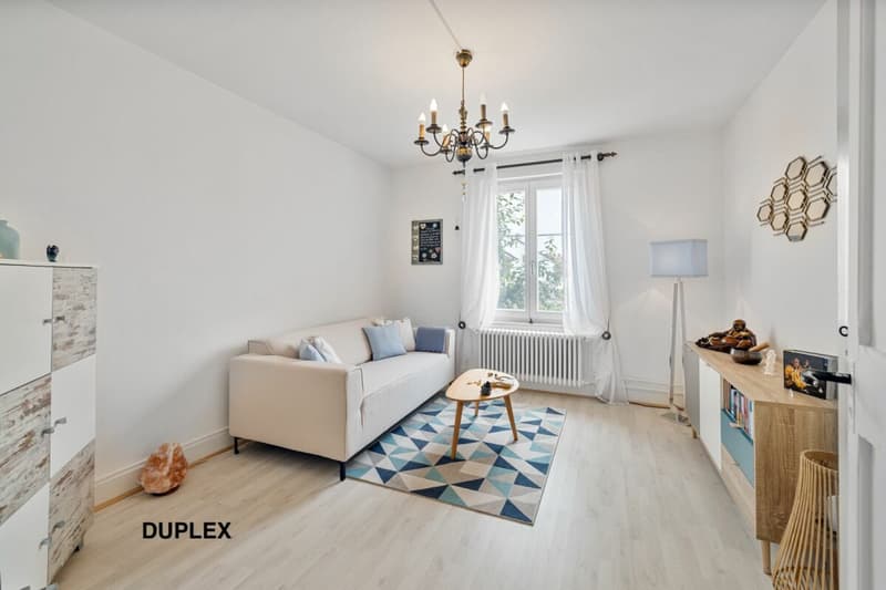 An 820 m² farm building with 3 apartments and 2 partially renovated barns, 8 km from Avenches and 25 km from Neuchâtel and Fribourg. (33)