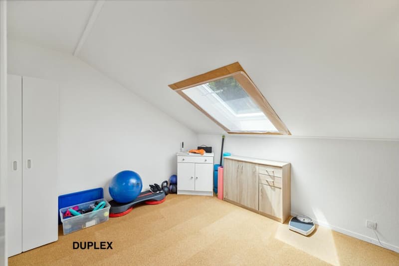 An 820 m² farm building with 3 apartments and 2 partially renovated barns, 8 km from Avenches and 25 km from Neuchâtel and Fribourg. (34)