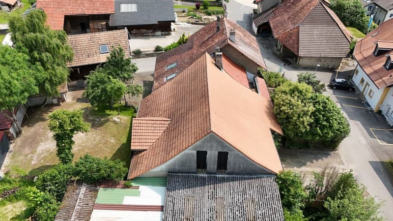 An 820 m² farm building with 3 apartments and 2 partially renovated barns, 8 km from Avenches and 25 km from Neuchâtel and Fribourg. (59)