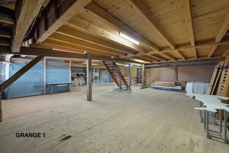 An 820 m² farm building with 3 apartments and 2 partially renovated barns, 8 km from Avenches and 25 km from Neuchâtel and Fribourg. (45)