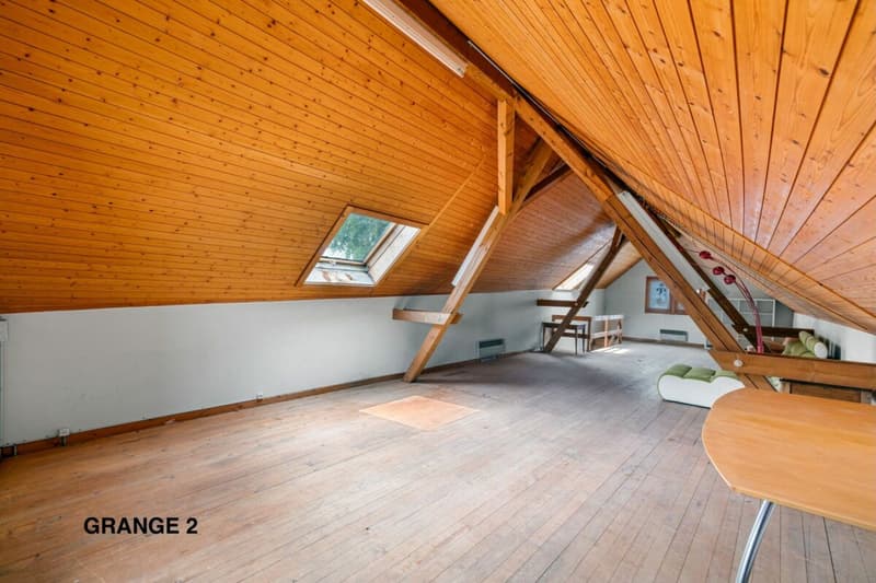 An 820 m² farm building with 3 apartments and 2 partially renovated barns, 8 km from Avenches and 25 km from Neuchâtel and Fribourg. (54)