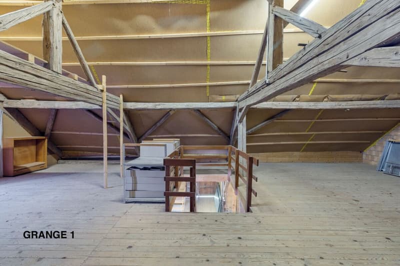 An 820 m² farm building with 3 apartments and 2 partially renovated barns, 8 km from Avenches and 25 km from Neuchâtel and Fribourg. (46)