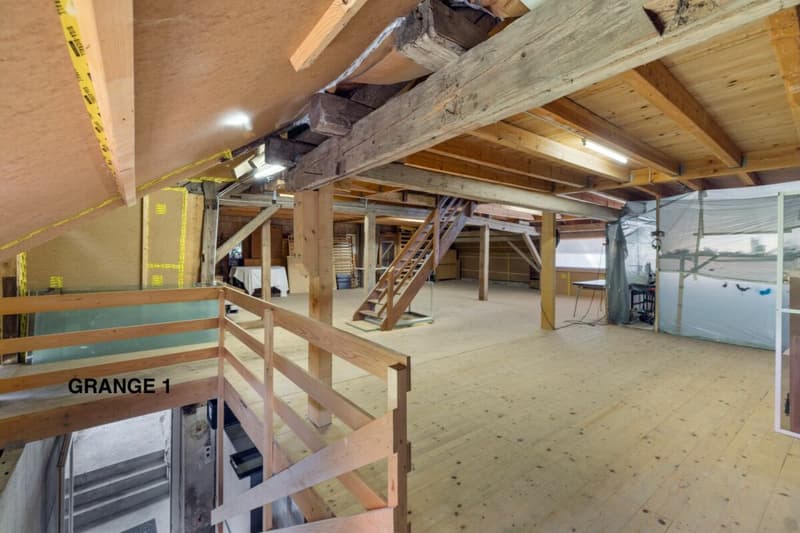 An 820 m² farm building with 3 apartments and 2 partially renovated barns, 8 km from Avenches and 25 km from Neuchâtel and Fribourg. (42)