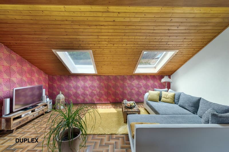 An 820 m² farm building with 3 apartments and 2 partially renovated barns, 8 km from Avenches and 25 km from Neuchâtel and Fribourg. (24)
