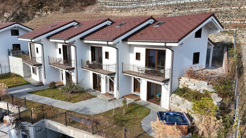 MAGNIFICENT SEMI-DETACHED VILLA 3 PCS ½ OF 107 M2 IN THE HEART OF THE VINEYARDS IN SAILLON (24)