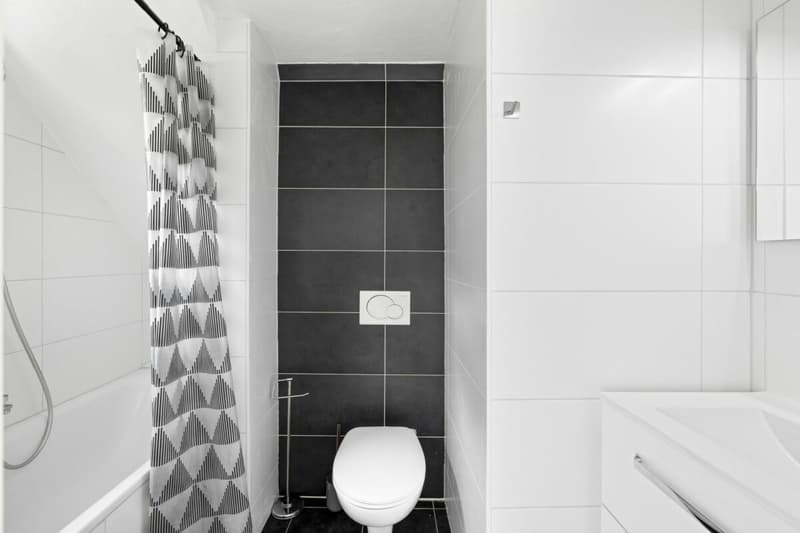 Petit immeuble locatif à 300 mètres du centre-ville (10)
