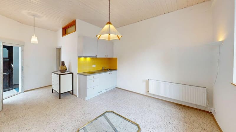 Petit immeuble locatif à 300 mètres du centre-ville (28)