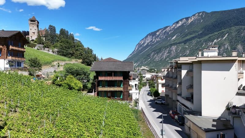Petit immeuble locatif à 300 mètres du centre-ville (3)