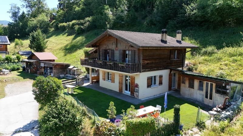 Detached house with 5 rooms and ½, 224 m2 living space, on a plot of 1693 m2 with breathtaking views (1)