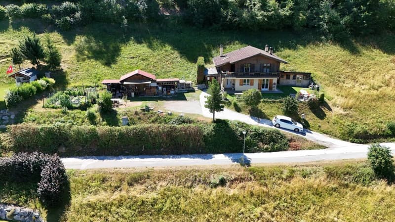 Detached house with 5 rooms and ½, 224 m2 living space, on a plot of 1693 m2 with breathtaking views (2)