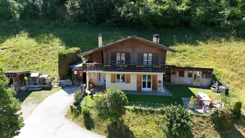 Detached house with 5 rooms and ½, 224 m2 living space, on a plot of 1693 m2 with breathtaking views (3)