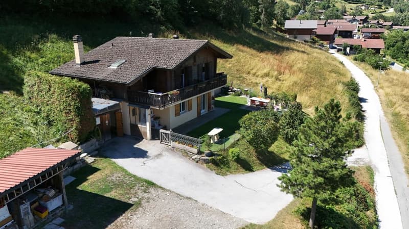 Detached house with 5 rooms and ½, 224 m2 living space, on a plot of 1693 m2 with breathtaking views (22)