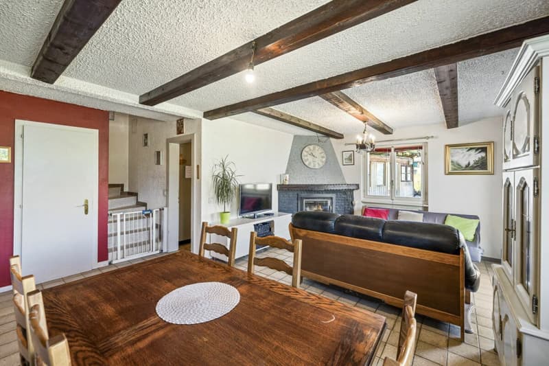 Detached house with 5 rooms and ½, 224 m2 living area, on a plot of 1693 m2 with breathtaking views (11)