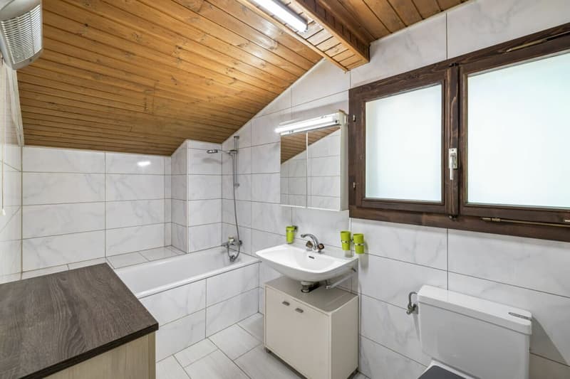 Detached house with 5 rooms and ½, 224 m2 living area, on a plot of 1693 m2 with breathtaking views (16)