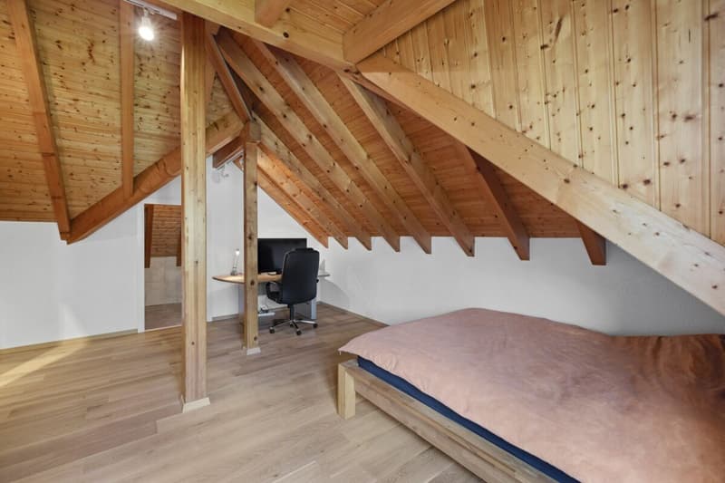 Splendide villa 6 pièces 1/2 de 297 m2 avec un magnifique extérieur (11)