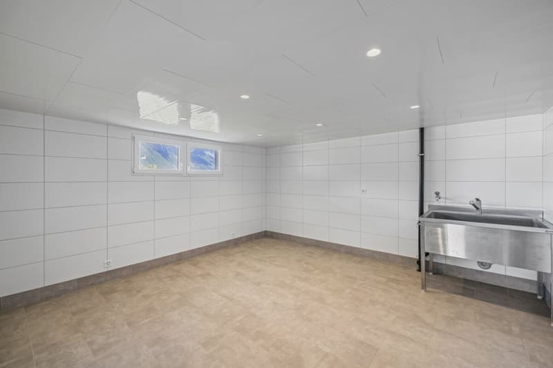 Maison individuelle 6 pièces 1/2 avec un atelier et une vue extraordinaire à Chemin Dessous (22)