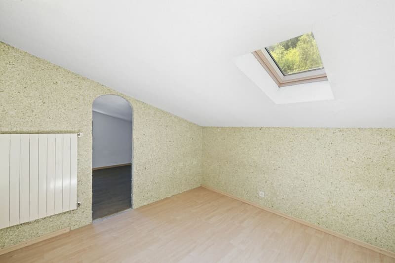 Maison individuelle 6 pièces 1/2 avec un atelier et une vue extraordinaire à Chemin Dessous (18)